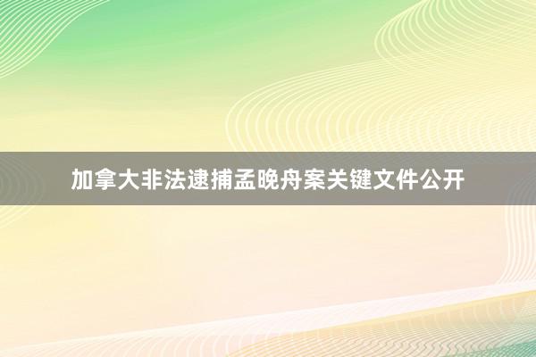 加拿大非法逮捕孟晚舟案关键文件公开